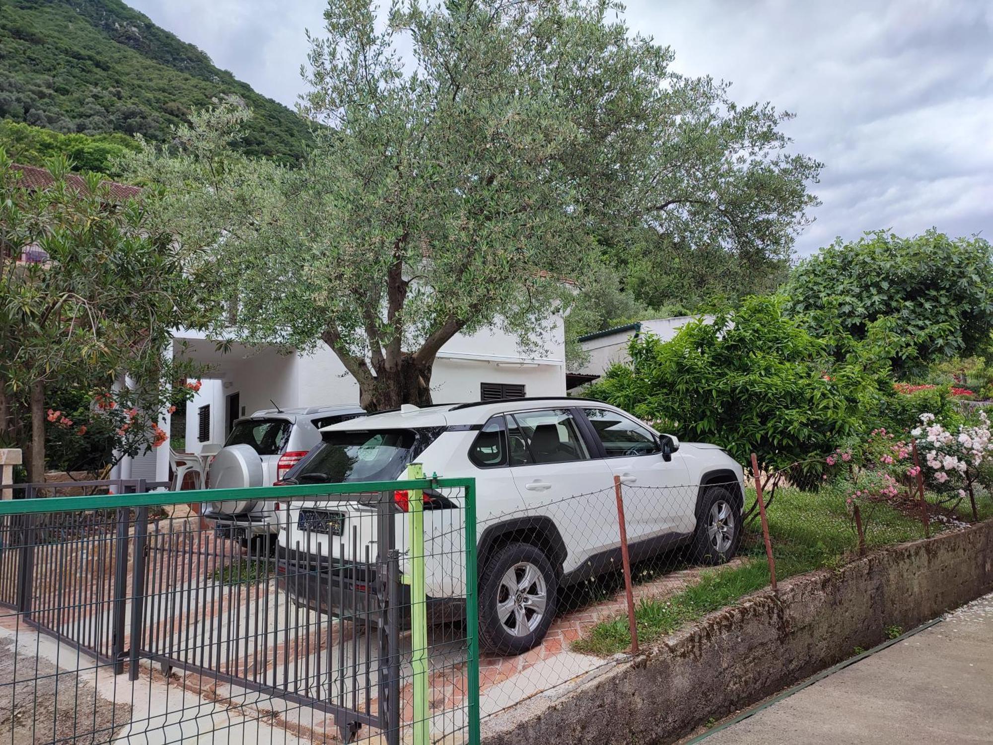 Holiday House In The Kotor Bay Exterior foto